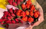 molpar_mosty_1777965859717